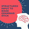 Structured Input to make grammar stick