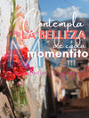 Poster Calle Resbalosa: Contempla la belleza